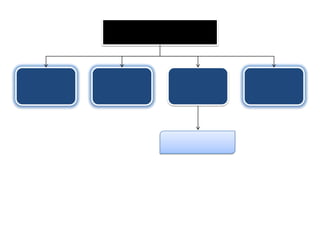 ملف تجريبي أثناء التدريب 