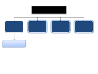 ملف تجريبي أثناء التدريب 