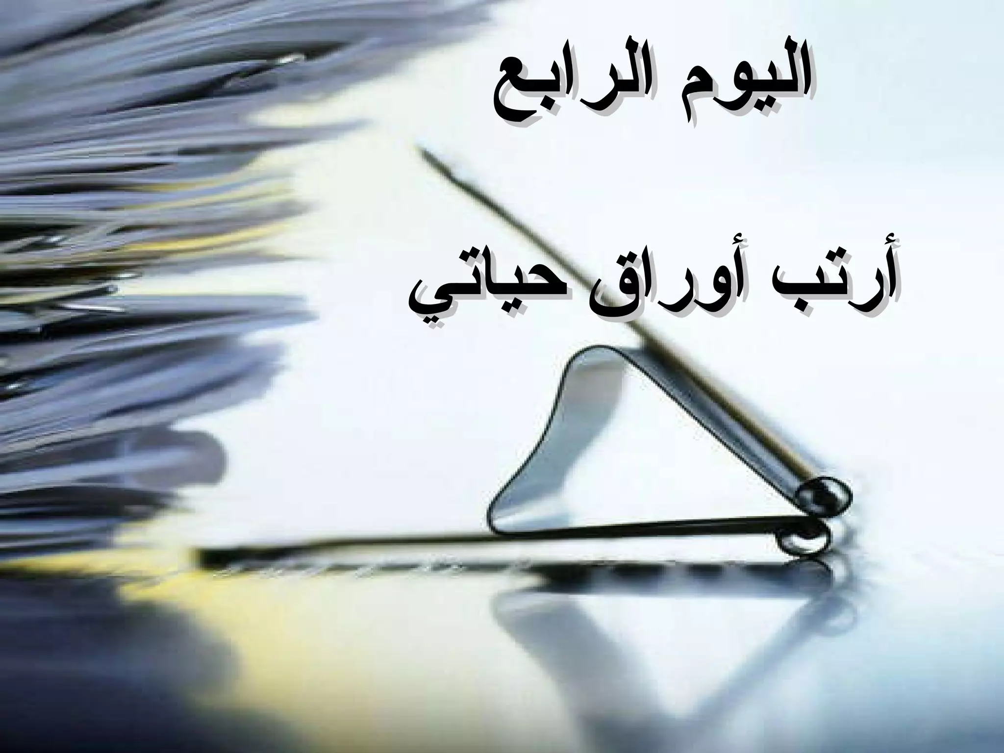 اليوم الرابع أرتب أوراق حياتي 