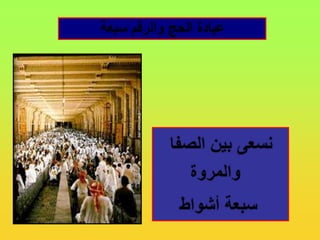 عبادة الحج والرقم سبعةنسعى بين الصفا والمروةسبعة أشواط