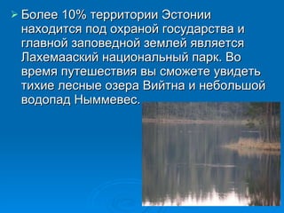 Более 10% территории Эстонии находится под охраной государства и главной заповедной землей является Лахемааский национальный парк. Во время путешествия вы сможете увидеть тихие лесные озера Вийтна и небольшой водопад Ныммевес.  