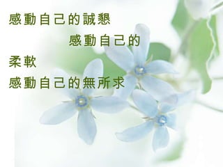 感動自己的誠懇 感動自己的柔軟 感動自己的無所求 