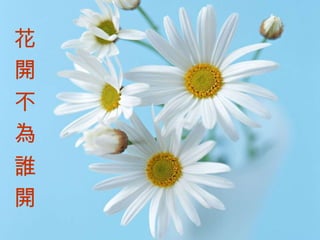 花開不為誰開 花 開 不 為 誰 開 