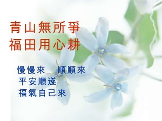 青山無所爭 福田用心耕   慢慢來  順順來 平安順遂 福氣自己來   