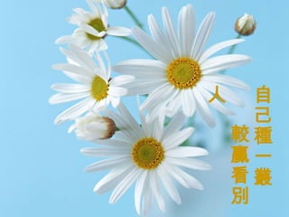 花開不為誰開 自己種一叢 較贏看別人   