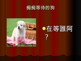 痴痴等待的狗 在等誰阿 ? 