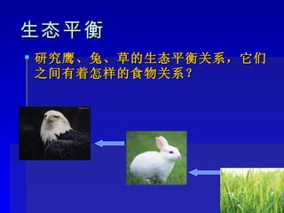 生态平衡 研究鹰、兔、草的生态平衡关系，它们之间有着怎样的食物关系？ 