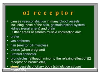 α1 receptor   causes  vasoconstriction  in many  blood   vessels  including those of the  skin ,  gastrointestinal   system ,  kidney  ( renal   artery ) and  brain . Other areas of smooth muscle contraction are: ureter   vas   deferens   hair  ( erector   pili   muscles )  uterus  (when pregnant)  urethral   sphincter   bronchioles  (although minor to the relaxing effect of β2 receptor on bronchioles)  blood vessels of ciliary body (stimulation causes mydriasis) 