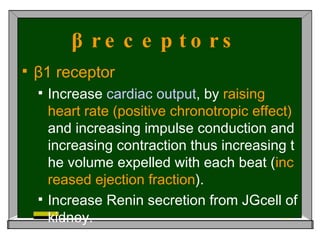 β receptors   β1 receptor   Increase  cardiac   output , by  raising heart rate (positive chronotropic effect)  and increasing impulse conduction and increasing contraction thus increasing the volume expelled with each beat ( increased ejection fraction ).  Increase Renin secretion from JGcell of kidney.   