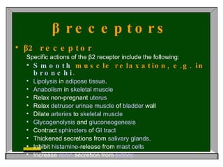 β receptors β2 receptor   Specific actions of the β2 receptor include the following: Smooth   muscle  relaxation, e.g. in  bronchi .   Lipolysis  in  adipose   tissue . Anabolism  in  skeletal   muscle Relax non-pregnant  uterus   Relax  detrusor   urinae   muscle ‎  of  bladder  wall  Dilate  arteries  to  skeletal   muscle   Glycogenolysis  and  gluconeogenesis   Contract  sphincters  of  GI   tract   Thickened secretions from  salivary   glands . Inhibit  histamine -release from  mast   cells   Increase  renin  secretion from  kidney 