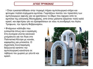 Φτιάχνουν κόλλυβο που ευλογείται όπως και ο αγιασμός. Στη συνέχεια γίνεται κανονικό μνημόσυνο για τον Άγιο στο Πολιτιστικό Κέντρο με κονιάκ, καραμέλες και μπισκότα. Ο Αγροτικός Συνεταιρισμός δεξιώνεται κατόπιν την αμπελουργική κοινότητα σε ταβέρνα του χωριού με γλεντά και κρασί.  Όταν εγκαταστάθηκαν στην περιοχή πήραν αμπελουργικό κλήρο και φύτεψαν πολλά στρέμματα αμπέλια. Γιορτάζουν λοιπόν τον προστάτη των αμπελουργών αφενός για να κρατήσουν το έθιμο που έφεραν από τα αμπέλια της ελληνικής Μεσημβρίας, από όπου μάλιστα εξαγόταν πολύ καλό κρασί, και αφετέρου για να εξασφαλίσουν εκ νέου τη συνδρομή του Αγίου Τρύφωνα, την πρώτη Φεβρουαρίου. ΑΓΙΟΣ ΤΡΥΦΩΝΑΣ 