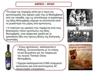 Στους αμπελώνες  καλλιεργείται ο Ροδίτης. Συνοινοποιείται με το επίσης λευκό Ζουμιάτικο για την παραγωγή του λευκού Τοπικού Οίνου Μεσημβρίας. Το κλίμα της περιοχής αλλά και η τέχνη της αμπελουργίας που έφεραν μαζί τους οι Μεσημβρινοί από την πατρίδα, είχε ως αποτέλεσμα το αγρόκτημα της Νέας Μεσημβρίας σήμερα να αποτελείται κατά το μεγαλύτερο του μέρος από αμπελώνες. Η ποιότητα του κρασιού που παράγεται από τους βιολογικούς πλέον αμπελώνες της Νέας Μεσημβρίας, είναι εξαιρετικά υψηλή και το κατατάσσει ήδη στις πρώτες θέσεις της Ελληνικής Οινοποιϊας  Σήμερα καλλιεργούνται 5.000 στρέμματα αμπελώνες και είναι ανεπτυγμένες 42 οικογενειακές επιχειρήσεις ΑΜΠΕΛΙ  - ΚΡΑΣΙ 