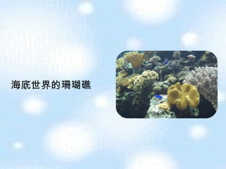 海底世界的珊瑚礁 