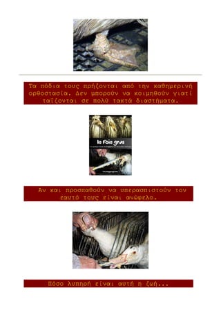 Τα πόδια τους πρήζονται από την καθηµερινή
ορθοστασία. ∆εν µπορούν να κοιµηθούν γιατί
   ταΐζονται σε πολύ τακτά διαστήµατα.




  Αν και προσπαθούν να υπερασπιστούν τον
       εαυτό τους είναι ανώφελο.




    Πόσο λυπηρή είναι αυτή η ζωή...
 