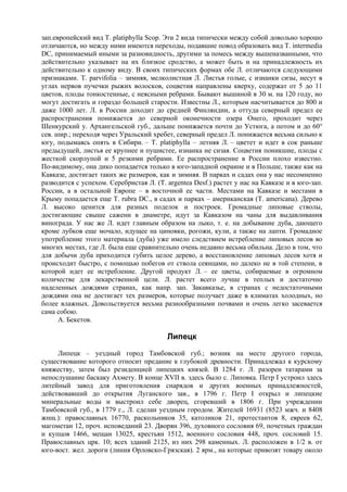зап.европейский вид Т. platiphylla Scop. Эти 2 вида типически между собой довольно хорошо
отличаются, но между ними имеются переходы, подавшие повод образовать вид Т. intermedia
DC, принимаемый иными за разновидность, другими за помесь между вышеназванными, что
действительно указывает на их близкое cродство, а может быть и на принадлежность их
действительно к одному виду. В своих типических формах обе Л. отличаются следующими
признаками. Т. раrvifolia – зимняя, мелколистная Л. Листья голые, с изнанки сизы, несут в
углах нервов пучечки рыжих волосков, соцветия направлены кверху, содержат от 5 до 11
цветов, плоды тонкостенные, с неясными ребрами. Бывают вышиной в 30 м. на 120 году, но
могут достигать и гораздо большей старости. Известны Л., которым насчитывается до 800 и
даже 1000 лет. Л. в России доходит до средней Финляндии, а оттуда северный предел ее
распространения понижается до северной оконечности озера Онего, проходит через
Шенкурский у. Архангельской губ., дальше понижается почти до Устюга, а потом и до 60°
сев. шир.; переходя через Уральский хребет, северный предел Л. понижается весьма сильно к
югу, подымаясь опять в Сибири. – Т. platiphylla – летняя Л. – цветет и идет в сок раньше
предыдущей, листья ее крупнее и пушистее, изнанка не сизая. Соцветия поникшие, плоды с
жесткой скорлупой и 5 резкими ребрами. Ее распространение в России плохо известно.
По-видимому, она дико попадается только в юго-западной окраине и в Польше, также как на
Кавказе, достигает таких же размеров, как и зимняя. В парках и садах она у нас несомненно
разводится с успехом. Серебристая Л. (Т. argentea Desf.) растет у нас на Кавказе и в юго-зап.
России, а в остальной Европе – в восточной ее части. Местами на Кавказе и местами в
Крыму попадается еще Т. rubra DC., в садах и парках – американская (Т. americana). Дерево
Л. высоко ценится для разных поделок и построек. Громадные липовые стволы,
достигающие свыше сажени в диаметре, идут за Кавказом на чаны для выдавливания
винограда. У нас же Л. идет главным образом на лыко, т. е. на добывание дуба, дающего
кроме лубков еще мочало, идущее на циновки, рогожи, кули, а также на лапти. Громадное
употребление этого материала (дуба) уже имело следствием истребление липовых лесов во
многих местах, где Л. была еще сравнительно очень недавно весьма обильна. Дело в том, что
для добычи дуба приходится губить целое дерево, а восстановление липовых лесов хотя и
происходит быстро, с помощью побегов от ствола сеянцами, но далеко не в той степени, в
которой идет ее истребление. Другой продукт Л. – ее цветы, собираемые в огромном
количестве для лекарственной цели. Л. растет всего лучше в теплых и достаточно
наделенных дождями странах, как напр. зап. Закавказье, в странах с недостаточными
дождями она не достигает тех размеров, которые получает даже в климатах холодных, но
более влажных. Довольствуется весьма разнообразными почвами и очень легко засевается
сама собою.
      А. Бекетов.

                                         Липецк
     Липецк – уездный город Тамбовской губ.; возник на месте другого города,
существование которого относит предание к глубокой древности. Принадлежал к курскому
княжеству, затем был резиденцией липецких князей. В 1284 г. Л. разорен татарами за
непослушание баскаку Ахмету. В конце XVII в. здесь было с. Липовка. Петр I устроил здесь
литейный завод для приготовления снарядов и других военных принадлежностей,
действовавший до открытия Луганского зав., в 1796 г. Петр I открыл и липецкие
минеральные воды и выстроил себе дворец, сгоревший в 1806 г. При учреждении
Тамбовской губ., в 1779 г., Л. сделан уездным городом. Жителей 16931 (8523 мжч. и 8408
жнщ.): православных 16770, раскольников 35, католиков 21, протестантов 8, евреев 62,
магометан 12, проч. исповеданий 23. Дворян 396, духовного сословия 69, почетных граждан
и купцов 1466, мещан 13025, крестьян 1512, военного сословия 448, проч. сословий 15.
Православных црк. 10; всех зданий 2125, из них 298 каменных. Л. расположен в 1/2 в. от
юго-вост. жел. дороги (линия Орловско-Грязская). 2 ярм., на которые привозят товару около
 