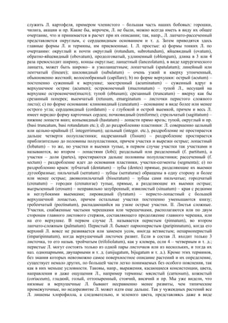 служить Л. картофеля, примером членистого – большая часть наших бобовых: горошки,
чилига, акации и пр. Какие бы, впрочем, Л. не были, можно всегда иметь в виду их общее
очертание, что и принимается в расчет при их описании; так, напр., Л. лапчато-рассеченный
представляется округлым, с сердцевидным основанием и т. д. Затем приводятся здесь
главные формы Л. и термины, им присвоенные. I. Л. простые: а) формы тонких Л. по
очертанию: округлый и почти округлый (rotundum, subrotundum), яйцевидный (ovatum),
обратно-яйцевидный (obovatum), продолговатый, удлиненный (oblongum), длина в 3 или 4
раза превосходит ширину, концы округлые; ланцетный (lanceolatum), в виде хирургического
ланцета, может быть широко– и узколанцетным; лопатчатый (sрatulatum); линейный или
лентчатый (lineare); шиловидный (subulatum) – очень узкий и кверху утонченный,
обыкновенно жесткий; волосообразный (capillare); b) по форме верхушки: острый (acutum) –
постепенно суженный к верхушке; заостренный (acuminatum) – суженный вдруг в
верхушечное ocтрие (acumen); остроконечный (mucronatum) – тупой Л., несущий на
верхушке остроконечие(mucrо); тупой (obtusum); срезанный (truncatum) – вверху как бы
cрезанный поперек; выемчатый (retusum, emarginatum – листочки перистого сложного
листа); с) по форме основания: клиновидный (cuneatum) – основание в виде более или менее
острого угла; сердцевидный (cordatum) – с глубокой и острой выемкой, причем и весь Л.
имеет нередко форму карточных сердец; почковидный (reniforme); стрельчатый (sagittatum) –
нижние лопасти вниз; копьевидный (hastatum) – лопасти прямо врозь; тупой, округлый и пр.
(basi truncatum, basi rotundatum etc.); d) до раздроблению пластинки: Л. совершенно цельный
или цельно-крайный (f. integerrimum); цельный (integer. etc.), раздробление не простирается
дальше четверти полупластинки; надрезанный (fissum) – раздробление простирается
приблизительно до половины полупластинки, причем участки и вырезки острые; лопастный
(lobatum) – то же, но участки и выемки тупые, в первом случае участки так участками и
называются, во втором – лопастями (lobi); раздельный или разделенный (f. partitum), а
участки – доли (partes), простираются дальше половины полупластинки; рассеченный (f.
sectum) – раздробление идет до основания пластинки, участки-сегменты (segmenta); е) по
раздроблению краев: зубчатый (dentatum) – зубы (dentes) прямые, разделяющие их выемки
дугообразные; пильчатый (serratum) – зубцы (serraturae) обращены в одну сторону и более
или менее острые; двоякопильчатый (bisseratum) – зубцы сами пильчатые; городчатый
(crenatum) – городки (crenatoгае) тупые, прямые, а разделяющие их выемки острые;
выгрызенный (erosum) – неправильно зазубренный; извилистый (sinuatum) – края с редкими
и неглубокими выемками; лировидный (lyratum) – перисто-лопастный с большей
верхушечной лопастью, причем остальные участки постепенно уменьшаются книзу;
гребенчатый (pectinatum), распадающийся на узкие острые участки. II. Листья сложные.
Участки, снабженные частыми черешками или черешечками, располагаются или по двум
сторонам главного листового стержня, составляющего продолжение главного черешка, или
на его верхушке. В первом случае Л. называется перистым (pinnatum), во втором
лапчато-сложным (palmatum). Перистый Л. бывает парноперистым (paripinnatum), когда его
верхний Л. вовсе не развивается или заменен усом, иногда ветвистым; непарноперистый
(imparipinnatum), когда верхушечный листочек развит. Если в состав Л. входит только 3
листочка, то его назыв. тройчатым (trifoliolatum), как у клевера, если 4 – четверным и т. д.;
перистые Л. могут состоять только из одной пары листочков или из нескольких, и тогда их
наз. однопарными, двупарными и т. д. (unijugatum, bijugatum и т. д.). Кроме этих терминов,
без знания которых невозможно самое поверхностное описание растений и их определение,
существует немало других, по большей части легко понимаемых без особого пояснения, так
как в них меньше условности. Таковы, напр., выражения, касающиеся консистенции, цвета,
направления и даже ощущения Л., например термины: мясистый (carnosum), кожистый
(coriaceum), гладкий, голый, оттопыренный, стоячий, висячий и пр. Мы уже видели, что
низовые и верхушечные Л. бывают несравненно менее развиты, чем типические
промежуточные, но недоразвитие Л. может идти еще дальше. Так у чужеядных растений все
Л. лишены хлорофилла, а следовательно, и зеленого цвета, представляясь даже в виде
 