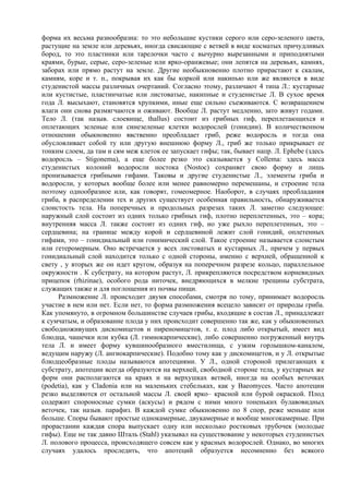 форма их весьма разнообразна: то это небольшие кустики серого или серо-зеленого цвета,
растущие на земле или деревьях, иногда свисающие с ветвей в виде косматых причудливых
бород, то это пластинки или тарелочки часто с вычурно вырезанными и приподнятыми
краями, бурые, серые, серо-зеленые или ярко-оранжевые; они лепятся на деревьях, камнях,
заборах или прямо растут на земле. Другие необыкновенно плотно прирастают к скалам,
камням, коре и т. п., покрывая их как бы коркой или накипью или же являются в виде
студенистой массы различных очертаний. Согласно этому, различают 4 типа Л.: кустарные
или кустистые, пластинчатые или листоватые, накипные и студенистые Л. В сухое время
года Л. высыхают, становятся хрупкими, иные еще сильно съеживаются. С возвращением
влаги они снова размягчаются и оживают. Вообще Л. растут медленно, зато живут годами.
Тело Л. (так назыв. слоевище, thallus) состоит из грибных гиф, переплетающихся и
оплетающих зеленые или синезеленые клетки водорослей (гонидии). В количественном
отношении обыкновенно явственно преобладает гриб, реже водоросль и тогда она
обусловливает собой ту или другую внешнюю форму Л., гриб же только прикрывает ее
тонким слоем, да там и сям меж клеток ее запускает гифы; так, бывает напр. Л. Ephebe (здесь
водоросль – Stigonema), а еще более резко это сказывается у Collema: здесь масса
студенистых колоний водоросли ностока (Nostoc) сохраняет свою форму и лишь
пронизывается грибными гифами. Таковы и другие студенистые Л., элементы гриба и
водоросли, у которых вообще более или менее равномерно перемешаны, и строение тела
поэтому однообразное или, как говорят, гомеомерное. Наоборот, в случаях преобладания
гриба, в распределении тех и других существует особенная правильность, обнаруживается
слоистость тела. На поперечных и продольных разрезах таких Л. заметно следующее:
наружный слой состоит из одних только грибных гиф, плотно переплетенных, это – кора;
внутренняя масса Л. также состоит из одних гиф, но уже рыхло переплетенных, это –
сердцевина; на границе между корой и сердцевиной лежит слой гонидий, оплетенных
гифами, это – гонидиальный или гонимический слой. Такое строение называется слоистым
или гетеромерным. Оно встречается у всех листоватых и кустарных Л., причем у первых
гонидиальный слой находится только с одной стороны, именно с верхней, обращенной к
свету , у вторых же он идет кругом, образуя на поперечном разрезе кольцо, параллельное
окружности . К субстрату, на котором растут, Л. прикрепляются посредством корневидных
прицепок (rhizinae), особого рода ниточек, внедряющихся в мелкие трещины субстрата,
служащих также и для поглощения из почвы пищи.
     Размножение Л. происходит двумя способами, смотря по тому, принимает водоросль
участие в нем или нет. Если нет, то форма размножения всецело зависит от природы гриба.
Как упомянуто, в огромном большинстве случаев грибы, входящие в состав Л., принадлежат
к сумчатым, и образование плода у них происходит совершенно так же, как у обыкновенных
свободноживущих дискомицетов и пиреномицетов, т. е. плод либо открытый, имеет вид
блюдца, чашечки или кубка (Л. гимнокарпические), либо совершенно погруженный внутрь
тела Л. и имеет форму кувшинообразного вместилища, с узким горлышком-каналом,
ведущим наружу (Л. ангиокарпические). Подобно тому как у дискомицетов, и у Л. открытые
блюдцеобразные плоды называются апотециями. У Л., одной стороной прилегающих к
субстрату, апотеции всегда образуются на верхней, свободной стороне тела, у кустарных же
форм они располагаются на краях и на верхушках ветвей, иногда на особых веточках
(podetia), как у Cladonia или на маленьких стебельках, как у Baeomyces. Часто апотеции
резко выделяются от остальной массы Л. своей ярко– красной или бурой окраской. Плод
содержит спороносные сумки (аскусы) и рядом с ними много тоненьких булавовидных
веточек, так назыв. парафиз. В каждой сумке обыкновенно по 8 спор, реже меньше или
больше. Споры бывают простые однокамерные, двукамерные и вообще многокамерные. При
прорастании каждая спора выпускает одну или несколько ростковых трубочек (молодые
гифы). Еще не так давно Шталь (Stahl) указывал на существование у некоторых студенистых
Л. полового процесса, происходящего совсем как у красных водорослей. Однако, во многих
случаях удалось проследить, что апотеций образуется несомненно без всякого
 