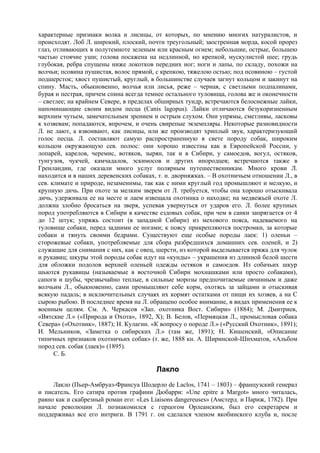 характерные признаки волка и лисицы, от которых, по мнению многих натуралистов, и
происходят. Лоб Л. широкий, плоский, почти треугольный; заостренная морда, косой прорез
глаз, отливающих в полутемноте зеленым или красным огнем; небольшие, острые, большею
частью стоячие уши; голова посажена на недлинной, но крепкой, мускулистой шее; грудь
глубокая, ребра спущены ниже локотков передних ног; ноги и лапы, по складу, похожи на
волчьи; псовина пушистая, волос прямой, с крепкою, тяжелою остью; под псовиною – густой
подшерсток; хвост пушистый, круглый, в большинстве случаев загнут кольцом и закинут на
спину. Масть, обыкновенно, волчья или лисья, реже – черная, с светлыми подпалинами,
бурая и пестрая, причем спина всегда темнее остального туловища, голова же и оконечности
– светлее; на крайнем Севере, в пределах обширных тундр, встречаются белоснежные лайки,
напоминающие своим видом песца (Canis lagopus). Лайки отличаются безукоризненным
верхним чутьем, замечательным зрением и острым слухом. Они упрямы, сметливы, ласковы
к хозяевам; попадаются, впрочем, и очень свирепые экземпляры. Некоторые разновидности
Л. не лают, а взвоивают, как лисицы, или же производят хриплый звук, характеризующий
голос песца. Л. составляют самую распространенную в свете породу собак, широким
кольцом окружающую сев. полюс: они хорошо известны как в Европейской России, у
лопарей, карелов, черемис, вотяков, зырян, так и в Сибири, у самоедов, вогул, остяков,
тунгузов, чукчей, камчадалов, эскимосов и других инородцев; встречаются также в
Гренландии, где оказали много услуг полярным путешественникам. Много крови Л.
находится и в наших деревенских собаках, т. н. дворняжках. – В охотничьем отношении Л., в
сев. климате и природе, незаменимы, так как с ними круглый год промышляют и мелкую, и
крупную дичь. При охоте за мелким зверем от Л. требуется, чтобы она хорошо отыскивала
дичь, удерживала ее на месте и лаем извещала охотника о находке; на медвежьей охоте Л.
должна злобно бросаться на зверя, успевая увернуться от ударов его. Л. более крупных
пород употребляются в Сибири в качестве ездовых собак, при чем в санки запрягается от 4
до 12 штук; упряжь состоит (в западной Сибири) из мехового пояса, надеваемого на
туловище собаки, перед задними ее ногами; к поясу прикрепляются постромки, за которые
собаки и тянуть своими бедрами. Существуют еще особые породы лаек: 1) оленьи –
сторожевые собаки, употребляемые для сбора разбредшихся домашних сев. оленей, и 2)
служащие для снимания с них, как с овец, шерсти, из которой выделывается пряжа для чулок
и рукавиц; шкуры этой породы собак идут на «кунды» – украшения из длинной белой шести
для обложки подолов верхней оленьей одежды остяков и самоедов. Из собачьих шкур
шьются рукавицы (называемые в восточной Сибири мохнашками или просто собаками),
сапоги и шубы, чрезвычайно теплые, в сильные морозы предпочитаемые овчинным и даже
волчьим Л., обыкновенно, сами промышляют себе корм, охотясь за зайцами и отыскивая
всякую падаль; в исключительных случаях их кормят остатками от пищи их хозяев, а на С
сырою рыбою. В последнее время на Л. обращено особое внимание, в видах применения ее к
военным целям. См. А. Черкасов «Зап. охотника Вост. Сибири» (1884); М. Дмитриев,
«Вятские Л.» («Природа и Охота», 1892, X); В. Белов, «Пермяцкая Л., промысловая собака
Севера» («Охотник», 1887); Н. Кулагин. «К вопросу о породе Л.» («Русский Охотник», 1891);
И. Мельников, «Заметка о сибирских Л.» (там же, 1891); Н. Кишенский, «Описание
типичных признаков охотничьих собак» (т. же, 1888 кн. А. Ширинской-Шихматов, «Альбом
пород сев. собак (лаек)» (1895).
      С. Б.

                                         Лакло
     Лакло (Пьер-Амбруаз-Франсуа Шодерло de Laclos, 1741 – 1803) – французский генерал
и писатель. Его сатира против графини Дюбарри: «Une epitre a Margot» много читалась,
равно как и скабрезный роман его: «Les Liaisons dangereuses» (Амстерд. и Париж, 1782). При
начале революции Л. познакомился с герцогом Орлеанским, был его секретарем и
поддерживал все его интриги. В 1791 г. он сделался членом якобинского клуба и, после
 