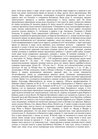 виды этого рода живут в море, входя в реки для метания икры (нереста) и проводя в них
более или менее значительное время по выходе из яйца; другие чисто пресноводные. Все
хищны. Мясо хорошо упитанных экземпляров отличается красноватым цветом, после
нереста цвет его бледнеет и становится беловатым. Виды рода Л. составляют предмет
значительного промысла и вообще принадлежит к числу ценных рыб. Из более
обыкновенных европейских видов сюда относятся Л. или семга (S. salar), кумжа или таймень
(S. trutta), пеструшка (S. lacustris), форель (S. fario), палья (S. salvelinus). Эти рыбы служат и
главным предметом искусственного разведения. Уложенная на льду оплодотворенная икра, а
также мальки пересылаются на значительные расстояния так после первых неудачных
попыток удалось развести Л., пеструшку и форель в pp. Австралии, Тасмании и Новой
Зеландии. К подроду Trutta принадлежит собственно Л. или семга (S. salar L.). Первое
название потребляется преимущественно по берегам Балтийского м., второе на Белом море и
Ледовитом океане; во время нереста Л. называют лохом; кроме того по времени входа в реки
и другим особенностям на С различают закройку, тинду или межень, осень, чистую семгу.
Семга возвращающаяся в море после нереста, называется на С вальчаками, а через некоторое
время по приходе в море, когда признаки лоха начинают исчезать – кирьяками. Тело
вытянуто в длину и более или менее сжато с боков, морда сужена и значительно вытянута
вперед; пятиугольная передняя пластинка сошника всегда без зубов, суженная длинная
задняя уплощена и снабжена низким продольным гребнем с 1 рядом слабы зубов, которые
очень рано почти совершенно пропадают, начиная с задних. В спинном плавнике 3 – 4
жестких луча и 9 – 11 мягких, в грудном 1 и 13, в брюшном 1 и 8, в заднепроходном 3 и 7 – 8,
в хвостовом 19. Чешуи образуют 120 – 130 поперечных рядов, продольных рядов выше
боковой линии 25 – 26, ниже – 18 . Спина голубовато-серого цвета, бока серебристые с
немногочисленными черными пятнами (иногда пятен нет вовсе), брюхо серебристо-белое,
плавники темно-серые. Длина 50 – 150 стм., вес 5 – 30 кгр., но в исключительных случаях
достигает 45 кгр. (в Печоре был, по Арсеньеву, пойман экземпляр в 2 пд. 15 фн., а
экземпляры в 90 фн. попадались также в Немане и Вилии). У старых самцов (по Зибольду)
брюхо в период размножения принимает красный цвет, на голове появляются
зигзагообразные линии из сливающихся красных пятен, основание заднепроходного
плавника, передний край брюшных и верхний и нижний хвостового получают красноватый
оттенок. Кроме того утолщается надкожица и нижняя челюсть принимает крючкообразную
форму, благодаря образующемуся на конце ее выросту. Область распространения Л.
обнимает берега Европы на Ю до 43° с. ш. (в бассейне Средиземного и Черного моря его
нет), Исландии, Гренландии и Сев. Америки на Ю до 41° с. ш. Самая южная часть берегов
Европы, где он правильно встречается – испанский берег Бискайского залива; в Сев.
Америке он в настоящее время редко попадается южнее мыса Код. Кроме того в Каспийском
море водится близкий или тождественный с ним вид (S. caspius), входящий в реки Персии и
Кавказа, реже в устья Волги. По берегам Балтийского моря и его заливов он ловится у нас в
большей части рек Финляндии, Неве и вообще значительных реках этого бассейна, особенно
в Вилии. На С он ловится у нас по всем берегам от границы Норвегии до р. Черной и в реках
здесь впадающих; особенно же значителен промысел семги в Печоре и ее притоках, Варзуге,
далее следуют Мезень, Сев. Двина, Онега, Кемь, Поной и др. Л. живет в море и входит в реки
для метания икры, иногда задолго до созревания половых продуктов. Относительно семги
озер Мэна и Нового Брауншвейга в Сев. Америке, а также оз. Мелар и Венерн в
Скандинавии принимают, что она живет постоянно в пресной воде; тоже предполагается и
относительно Л. Ладожского и Онежского озера; озерные Л. тоже входят для метания в реки.
Ход в реки происходит с весны до осени. В Белом море он начинается в конце мая или
начале июня, вскоре после вскрытия льда – это «закройка», в конце июня и июле идет
сравнительно мелкая (в среднем 4 – 5 фн.) и низко ценимая «межень» или «тинда», а с
первых чисел августа и до появления льда – самая крупная и ценная «осенняя семга» (также
«осень» и «чистая семга»); в реки Балтийского бассейна Л. тоже идет летом и осенью; в
Терек идет лишь тогда, когда температура воды значительно понизится и сильнее всего –
 