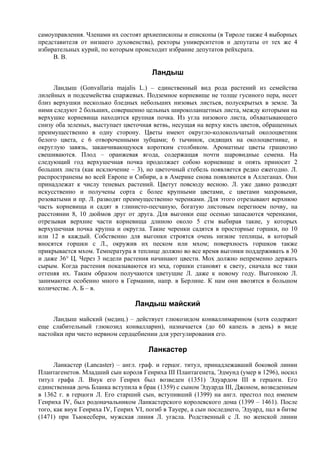 самоуправления. Членами их состоят apxиепископы и епископы (в Тироле также 4 выборных
представителя от низшего духовенства), ректоры университетов и депутаты от тех же 4
избирательных курий, по которым происходит избрание депутатов рейхсрата.
     В. В.

                                       Ландыш
     Ландыш (Gonvallaria majalis L.) – единственный вид рода растений из семейства
лилейных и подсемейства спаржевых. Подземное корневище не толще гусиного пера, несет
близ верхушки несколько бледных небольших низовых листьев, полускрытых в земле. За
ними следуют 2 больших, совершенно цельных широколанцетных листа, между которыми на
верхушке корневища находится крупная почка. Из угла низового листа, обхватывающего
снизу оба зеленых, выступает цветочная ветвь, несущая на верху кисть цветов, обращенных
преимущественно в одну сторону. Цветы имеют округло-колокольчатый околоцветник
белого цвета, с 6 отвороченными зубцами; 6 тычинок, сидящих на околоцветнике, и
округлую завязь, заканчивающуюся коротким столбиком. Ароматные цветы грациозно
свешиваются. Плод – оранжевая ягода, содержащая почти шаровидные семена. На
следующий год верхушечная почка продолжает собою корневище и опять приносит 2
больших листа (как исключение – 3), но цветочный стебель появляется редко ежегодно. Л.
распространены во всей Европе и Сибири, а в Америке снова появляются в Аллеганах. Они
принадлежат к числу теневых растений. Цветут повсюду весною. Л. уже давно разводят
искусственно и получены сорта с более крупными цветами, с цветами махровыми,
розоватыми и пр. Л. разводят преимущественно черенками. Для этого отрезывают верхнюю
часть корневища и садят в глинисто-песчаную, богатую листовым перегноем почву, на
расстоянии 8, 10 дюймов друг от друга. Для выгонки еще осенью запасаются черенками,
отрезывая верхние части корневища длиною около 5 стм выбирая такие, у которых
верхушечная почка крупна и округла. Такие черенки садятся в просторные горшки, по 10
или 12 в каждый. Собственно для выгонки строятся очень низкие теплицы, в который
вносятся горшки с Л., окружив их песком или мхом; поверхность горшков также
прикрывается мхом. Температура в теплице должно во все время выгонки поддерживать в 30
и даже 36° Ц. Через 3 недели растения начинают цвести. Мох должно непременно держать
сырым. Когда растения показываются из мха, горшки становят к свету, сначала все таки
оттеняя их. Таким образом получаются цветущие Л. даже к новому году. Выгонкою Л.
занимаются особенно много в Германии, напр. в Берлине. К нам они ввозятся в большом
количестве. А. Б – в.

                                  Ландыш майский
     Ландыш майский (медиц.) – действует глюкозидом конваллимарином (хотя содержит
еще слабительный глюкозид конвалларин), назначается (до 60 капель в день) в виде
настойки при чисто нервном сердцебиении для урегулирования его.

                                      Ланкастер
      Ланкастер (Lancaster) – англ. граф. и герцог. титул, принадлежавший боковой линии
Плантагенетов. Младший сын короля Генриха III Плантагенета, Эдмунд (умер в 1296), носил
титул графа Л. Внук его Генрих был возведен (1351) Эдуардом III в герцоги. Его
единственная дочь Бланка вступила в брак (1359) с сыном Эдуарда III, Джоном, возведенным
в 1362 г. в герцоги Л. Его старший сын, вступивший (1399) на англ. престол под именем
Генриха IV, был родоначальником Ланкастерского королевского дома (1399 – 1461). После
того, как внук Генриха IV, Генрих VI, погиб в Tаyepе, а сын последнего, Эдуард, пал в битве
(1471) при Тьюкесбери, мужская линия Л. угасла. Родственный с Л. по женской линии
 