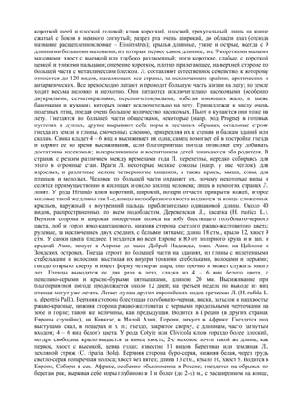 короткой шеей и плоской головой; клюв короткий, плоский, трехугольный, лишь на конце
сжатый с боков и немного согнутый; разрез рта очень широкий, до области глаз (отсюда
название расщепленноклювые – Eissirostres); крылья длинные, узкие и острые, всегда с 9
длинными большими маховыми, из которых первое самое длинное, и с 9 короткими малыми
маховыми; хвост с выемкой или глубоко раздвоенный; ноги короткие, слабые, с короткой
цевкой и тонкими пальцами; оперение короткое, плотно прилегающее, на верхней стороне по
большей части с металлическим блеском. Л. составляют естественное семейство, к которому
относится до 120 видов, населяющих все страны, за исключением крайних арктических и
антарктических. Все превосходно летают и проводят большую часть жизни на лету; по земле
ходит весьма неловко и неохотно. Они питаются исключительно насекомыми (особенно
двукрылыми, сетчатокрылыми, перепончатокрылыми, избегая имеющих жало, а также
баночками и жуками), которых ловят исключительно на лету. Принадлежат к числу очень
полезных птиц, поедая очень большое количество насекомых. Пьют и купаются они тоже на
лету. Гнездятся по большей части обществами, некоторые (напр. род Progne) в готовых
пустотах и дуплах, другие вырывают себе норы в песчаных обрывах, остальные строят
гнезда из земли и глины, смоченных слюною, прикрепляя их к стенам и балкам зданий или
скалам. Самка кладет 4 – 6 яиц и высиживает их одна; самец помогает ей в постройке гнезда
и кормит ее во время высиживания, если благоприятная погода позволяет ему добывать
достаточно насекомых; выкармливанием и воспитанием детей занимаются оба родителя. В
странах с резким различием между временами года Л. перелетны, нередко собираясь для
этого в огромные стаи. Враги Л. некоторые мелкие соколы (напр. у нас чеглок), для
взрослых, и различные мелкие четвероногие хищники, а также крысы, мыши, совы, для
птенцов и молодых. Человек по большей части охраняет их, почему некоторые виды и
селятся преимущественно в жилищах и около жилищ человека; лишь в немногих странах Л.
ловят. У рода Hirundo клюв короткий, широкий, ноздри отчасти прикрыты кожей, второе
маховое такой же длины как 1-е, концы вилообразного хвоста выдаются за концы сложенных
крыльев, наружный и внутренний пальцы приблизительно одинаковой длины. Около 40
видов, распространенных по всем подобластям. Деревенская Л., касатка (Н. rustica L.).
Верхняя сторона и широкая поперечная полоса на зобу блестящего голубовато-черного
цвета, лоб и горло ярко-каштанового, нижняя сторона светлого ржаво-желтоватого цвета;
рулевые, за исключением двух средних, с белыми пятнами; длина 18 стм., крыло 12, хвост 9
стм. У самки цвета бледнее. Гнездится во всей Европе к Ю от полярного круга и в зап. и
средней Азии, зимует в Африке до мыса Доброй Надежды, южн. Азии, на Цейлоне и
Зондских островах. Гнезда строит по большей части на зданиях, из глины с вплетенными
стебельками и волосами, выстилая их внутри тонкими стебельками, волосами и перьями;
гнездо открыто сверху и имеет форму четверти шара, оно прочно и может служить много
лет. Птенцы выводятся по два раза в лето, кладка из 4 – 6 яиц белого цвета, с
пепельно-серыми и красно-бурыми пятнышками, длиною 20 мм. Высиживание при
благоприятной погоде продолжается около 12 дней; на третьей неделе по выходе из яиц
птенцы могут уже летать. Летает лучше других европейских видов греческая Л. (Н. rufula L.
s. alpestris Pall.). Верхняя сторона блестящая голубовато-черная, виски, затылок и надхвостье
ржаво-красные, нижняя сторона ржаво-желтоватая с черными продольными черточками на
зобе и горле; такой же величины, как предыдущая. Водится в Греции (в других странах
Европы случайно), на Кавказе, в Малой Азии, Персии, зимует в Африке. Гнездятся под
выступами скал, в пещерах и т. п.; гнездо, закрытое сверху, с длинным, часто загнутым
входом; 4 – 6 яиц белого цвета. У рода Соtyie или Clivicola клюв гораздо более плоский,
ноздри свободны, крыло выдается за конец хвоста; 2-е маховое почти такой же длины, как
первое, хвост с выемкой, цевка голая; известно 11 видов. Береговая или земляная Л.,
земляной стриж (С. riparia Bole). Верхняя сторона буро-серая, нижняя белая, через грудь
светло-серая поперечная полоса; хвост без пятен; длина 13 стм., крыло 10, хвост 5. Водится в
Европе, Сибири и сев. Африке, особенно обыкновенна в России; гнездится на обрывах по
берегам рек, вырывая себе норы глубиною в 1 и более (до 2-х) м., с расширением на конце,
 