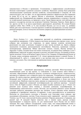 повсеместным в Италии и провинциях. Столкновение с карфагенянами способствовало
богатым плантаторам в развитии сельского хозяйства. Насколько усвоена была римскими
землевладельцами пуническая система хозяйства, господствовавшая в Сицилии, об этом
свидетельствует уже тот факт, что по предложению римского правительства был переведен
(в конце III в.) на лат. яз. трактат Магона о земледелии, обучавший земледелию на
карфагенский лад. Непрерывный ряд аграрных законов, направленных к отнятию у богачей
их хозяйственной монополии, не приводил к цели. Среди борцов против этой гибельной для
римского государства системы мы встречаем Сципиона Эмилиана, Гракхов, Ливия Друза и
мн. других; но без Л. не могла существовать аристократич. республика. По словам Плиния
старшего («Hist. Nat.» XVIII, гл 7), они погубили Италию, да и не ее одну: «L. perdidere
Italiam, jam vero et provincias». Система крупного хозяйства продержалась до конца западной
римской империи, хотя ее господство постепенно умерялось распространением колоната.
      Н. О.

                                         Латук
     Латук (Lactuca L.) – род травянистых растений из семейства сложноцветных и
подсемейства цикориевых. Стебли покрыты жесткими волосками или изредка голые, листья
собраны при основании или очередные, по краям нередко усажены щетинистыми
ресничками или даже колючками. Содержат во всех частях млечный сок. Цветы собраны
маленькими головками, расположенными кистеобразно. Поволока, одевающая головки,
цилиндрическая, травянистая. Общее цветоложе плоское, гладкое. Язычки венчика на
верхушке 5-зубые, плодики более или менее сплюснутые, на каждом боку снабжены 3 или 5
ребрышками, переходят на верху внезапно в носочек, несущий хохолок, состоящий из белых,
мягких волосков. Сюда до 60 видов Старого Света и Сев. Америки. В Европейской России до
10 видов, между которыми ядовитый Л. (Е. virosa) преимущественно в южной России. Л.
обыкновенный (L. sativa L, ) также растет у нас местами дико или одичал, но разводится
повсюду для салата. Под этим именем он преимущественно и известен.
     Л. Б.

                                     Латук-салат
     Латук-салат – важнейший представитель салатных растений. Многочисленные его
видоизменения делят на три группы. А. Собственно Л. салат (Lactuca saliva foliosa) с
листьями, образующими свободные розетки, отличается низкорослостью, скороспелостью,
выгоняется в парниках или в открытом грунте без пересадки. Употребляется только ранней
весною. Из сортов известны: ранний желтый, крупнолистный, кудрявый, мохнатый и др. В.
Кочанный салат (Lactuca sativa capitata) с листьями, свивающимися в более или менее
плотный кочан. Наиболее известны сорта, средние по скороспелости и величине: форельный
английский, эрфуртский, княжеский золотофорельный, как наиболее крупные – великий
могол, Chou de Naples (служит в Италии для варки подобно шпинату) и др. С. Ромен или
римский салат (Lactuca sativa romana) с листьями длинными, лодкообразными, не
свивающимися самостоятельно в кочни. Поэтому для получения римского салата белыми
листьями требуется связывание растения над центром, отчего середина кочня лишается
хлорофилла и приобретает нежность. В парниках, в виду высокорослости, не разводится.
Несмотря на хлопотливость культуры в большом ходу благодаря очень нежным, при
надлежащем отбеливании, листьям. Сюда относятся сорта: парижский – желтый и зеленый,
Victoria и др. D. Салат многолетний (Lacluca porennis). Изредка разводится в Германии, как
ранний сорт. В западной Европе известны еще и зимние сорта, рассада которых
перезимовывает в открытом грунте, но для значительной части России они не имеют
значения. Все сорта требуют плодородной, лучше старо, чем свежеудобренной почвы и
частой поливки. Посев производится в парниках как для ранней выгонки, так и для
 