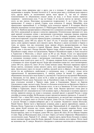 одной пары очень привязаны друг к другу, как и к птенцам. С другими птицами очень
неуживчивы и задорны. Человек охотится за Л. частью ради мяса, а особенно ради перьев и
пуха; другие враги, за исключением орлов, мало вредят Л., так как от хищных
млекопитающих их обыкновенно спасает жизнь на воде, а от более мелких пернатых
хищников – значительная сила. У нас на Севере Л. во многих местах не трогают, считая
охоту на них грехом. Некоторые изследователи подразделяют Л. на 4 рода: Оlor, куда
принадлежат Л. кликун и малый, Cygnus, куда относится Л. шипун; Stbenelides, куда
принадлежит черношейный Л., и Chenopis, куда относится черный Л. В пещерах Мальты
найдены ископаемые остатки крупного Л. Раlaeocygnus falconeri, составляющего переход от
гусей к Л. Наиболее распространен и общеизвестен в домашнем состоянии Л. шипун (Cygnus
olor Grii.), разводимый на прудах в качестве украшения. Отличительные признаки его: весь
край верхней половинки клюва с явственными пластинками; передняя граница оперения
головы выдается вперед острым углом; хвост из 22 или 24 перьев, оперение чисто белое;
клюв желто-красный с вздутым черным бугром у основания, который больше у самцов; нога
матово-черные, длина 180 стм, крыло 70, хвост 18 стм. У молодых перья серого и белого
цвета, клюв серовато-черный, ноги мясного цвета. Водится в диком состоянии в Европе и
Азии, но южнее, чем два следующие вида; прежде область распространения его была
обширнее. Теперь гнездится в южной Швеции, Дании, Трансильвании, Греции, долине
Дуная, южн. и юго-вост. России (бассейн Черного моря, область нижней Волги, сев. часть
Каспийского моря); зимует на Средиземном, Черном и Каспийском морях; в Азии гнездится
в Туркестане и Монголии, а зимует далее на Ю до сев. Индии. Голос его представляет
обыкновенно шипение, похожее на гусиное. Л. кликун (С. musicus Bechst.) лишь ближайшая
к основанию половина клюва с явственными пластинками, передняя граница головного
оперения в виде тупой дуги; хвост из 22 – 24 перьев, оперение белое, клюв черный на конце,
а основание его далее ноздрей желтое: бугра при основании клюва нет; ноги матовочерные;
длина 160 стм.; крыло 62, хвост 20 стм. Самка меньше самца. Молодые окрашены серым и
белым цветом, основание клюва мясного цвета, ноги красноваточерные. Издает звучный
крик. Дыхательное горло его входит в гребень грудной кости и образует там вертикальную
петлю (та же особенность свойственна и следующему виду, у которого только петля
горизонтальна). В противоположность Л. шипуну кликун (и малый Л.) держат шею
обыкновенно несогнутой в виде буквы S, а вытянутой. Гнездится во внутренней Финляндии,
в Лапландии, по Сев. Двине и далее на В, а также по средней Волге и в вост. губерниях
Европейской России вдоль Уральских гор до Каспийского моря, по берегам последнего и в
виде отдельных колоний у Черного моря, также в Скандинавии. Зимует по берегам
Средиземного моря, частью в южн. России и в большом количестве на британских берегах и
ближайших группах островов. В Исландии оседл, то же и в Закавказье. В Азии гнездится в
Сибири и Туркестане, зимует в Средней и южн. Азии. Весною прилетает очень рано (в
Петербургской губ. показывается во 2-ой половине марта, в Лапландии в половине апреля) и
потому держится сначала на лужах и полыньях; осенний пролет в средней России с конца
сентября до конца октября. На Исландии служит предметом важного промысла. Л. малый (С.
bewickii Yarr. s. minor Pall.) очень похож на предыдущего, но желтый цвет основания клюва
не доходит до ноздрей; хвост из 18 или 20 перьев, длина 124 стм. Гнездятся ок. Белого моря,
в дельтах Печоры и северно-сибирских рек и на островах Ледовитого океана (Колгуеве,
Новой Земле). Зимою часто у Британских островов, реже в других европейских странах, в
Японии, Китае, Туркестане и на Каспийском море. Черношейный Д. (С. nirgicollis): голова и
шея, кроме белой полоски над глазом, черного цвета, остальное оперение белое; клюв
свинцово-серый с желтым кончиком и кроваво-красным бугром при основании; ноги
бледно-красные, хвост из 18 перьев; длина 100 стм.; крыло 40, хвост 20 стм. Южная Америка
от южн. Перу до Фалкландских овов, а по вост. берегу до Сантос в Бразилии. Обыкновенен в
зоологических садах. Черный Л. (С. atratus) – черного цвета, кроме белых больших и первых
малых маховых перьев; клюв без бугра, красный с белым концом; ноги черные. Почти такой
же величины как Л. шипун. Водится в Австралии и довольно многочислен в ненаселенных
 