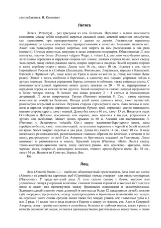 употребляются. Н. Книпович.

                                         Летяга
      Летяга (Pteromys) – род грызунов из сем. беличьих. Передние и задние конечности
соединены между собой покрытой шерстью складкой кожи, которой животное пользуется,
как парашютом, при перепрыгивании с дерева на дерево. Летательная перепонка
поддерживается хрящем или костью, прикрепленными к запястью. Защечных мешков нет.
Хвост или равномерно покрыт шерстью, или шерсть на нем расположена в два ряда
(перисто). Ночные животные, живущие в лесах северного полушария. Обыкновенная Л. или
полетуха, летучая белка (Pteromys vulgaris Wagn. s. volans L.), светлого чало-бурого цвета,
летательная перепонка и наружная сторона ног темнее, нижняя сторона белая; хвост сверху
чало-серый, снизу светло-ржавого цвета, покрыт шерстью в два ряда. Зимой верхняя сторона
и хвост серебристосерого цвета. Длина тела 16 см., хвост 10 см. Водится в сев. части
Европейской России и в Сибири (Лапландии, Финляндии, Лифляндии, изредка в Казанской,
Вятской и Пермской губ., чаще всего на Урале и далее на восток до Лены; восточнее Лены
редко). Живет в лесах, особенно в березовых, в одиночку или парами, устраивая гнёзда в
дуплах деревьев. Питается сережками березы, почками и побегами, также семенами сосны. С
помощью летательной перепонки может делать прыжки по 20 – 30 м., перепрыгивая с
верхушки дерева на нижние ветви другого. Зимой подвергается спячке, которая прерывается
в более теплую погоду. В начале мая самка рождает 2 – 4 слепых и беспомощных
детенышей. Л. легко приручается. Тагуан (Pteromys petaurista F. Cuv. – самое крупное
животное из семейства беличьих. Позади ушей пучок длинных волос, хвост пушистый,
равномерно покрытый волосами. Верхняя сторона серо-черного цвета, бока головы и шеи,
ноги и верхняя сторона перепонки каштаново-бурого, край перепонки светло-пепельного,
нижняя сторона серого, хвост черный. Длина без хвоста 60 см., хвост 55 см. Водится в лесах
Ост-Индии и Цейлона, поодиночке или парами; днем прячется в гнездах, устроенных в
дуплах или свободных. Может делать прыжки до 60 м. Ассапан или американская Л.
(Pteromys s. Sciuropterus volucella Cuv.) сверху желтовато-буро-серого цвета, лапы
серебристо-белые, хвост пепельно-серый, летательная перепонка с черной и белой полосой
по краю. Хвост покрыт шерстью в два ряда. Длина без хвоста 14 см., хвост 10 см. В виде
нескольких разновидностей, различающихся главным образом по величине, а отчасти и по
цвету, распространен по всей Сев. Америке от британских владений до Гватемалы. Легко
выживает и размножается в неволе. Красный тагуан (Pteromys nilidus Desm.) сверху
темно-каштаново-красного цвета, снизу светлого ржаво– или оранжево– красного, лапы
черные; хвост, покрытый равномерно волосами, темного красно-бурого цвета. Дл. 48 см.,
хвост 54 см. Водится на Суматре, Борнео, Яве.
      Кн.

                                          Лещ
     Лещ (Abramis brama L.) – наиболее общеизвестный представитель рода того же имени
(Abramis) из семейства карповых рыб (Cyprinidae) отряда отверсто– или открытопузырных
(Physostomi). У представителей рода Л. тело сильно сжатое с боков, высокое или
удлиненное; чешуя умеренной величины; спинной плавник короткий и высокий без толстого
шипа и лежит над промежутком между брюшными плавниками и заднепроходным.
Заднепроходный плавник очень длинный (в нем всегда более 12 разделенных лучей); нижняя
губа посредине прерывается; между заднепроходным и брюшными плавниками нет чешуи;
на передней части спины средняя линия также без чешуи; усиков нет; глоточные зубы в 1
или 2 ряда. 16 видов этого рода водятся в Европе к северу от Альпов, сев. Азии и Северной
Америке; живут преимущественно в спокойных, больших и глубоких озерах, также в реках и
отчасти солоноватых водах; питаются преимущественно растительными веществами, а также
 