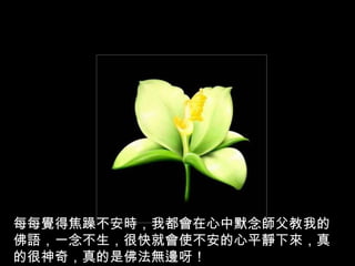 每每覺得焦躁不安時，我都會在心中默念師父教我的佛語，一念不生，很快就會使不安的心平靜下來，真的很神奇，真的是佛法無邊呀！ 