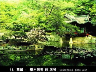 11.  韓國   -   樹木茂密 的 漢城   South Korea - Seoul Lush 