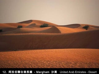 12.  阿拉伯聯合酋長國   -   Margham  沙漠   United Arab Emirates - Desert Margham 