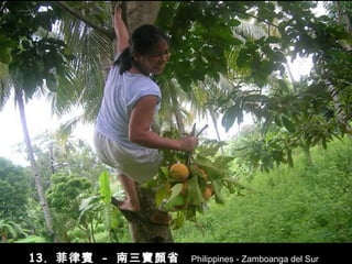 13.  菲律賓   -   南三寶顏省  Philippines - Zamboanga del Sur 