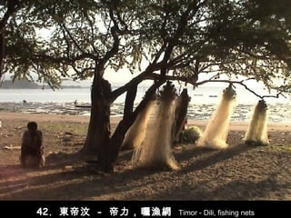 42.  東帝汶   -   帝力， 曬漁網   Timor - Dili, fishing nets 