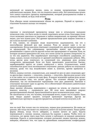 интимный из моментов жизни, лишь со своими экскрементами человек
действительно наедине. Ясно, что он стыдится самого себя. Это изначальная печать
того самого властного процесса переваривания, который разыгрывается втайне и
остался бы тайной, не будь этой печати.
                                     Рука
Рука обязана своим возникновением жизни на деревьях. Первый ее признак —
отделение большого пальца: его мощное.

230

строение и увеличенный промежуток между ним и остальными пальцами
позволили тому, что было когда-то лапой, охватывать целые сучья. Благодаря этому
стало возможно двигаться по деревьям в любом направлении; на примере обезьян
видно, для чего нужна рука. Это древнее предназначение руки широко известно и
ни в ком не вызовет сомнения.
О чем, однако, по инерции люди недостаточно задумываются, так это о
многообразии функций рук при лазаньи. Руки не делают одно и то же
одновременно. Когда одна рука схватывает следующий сук, другая крепко держится
за предыдущий. Это удерживание чрезвычайно важно: при быстром пе-
рескакивании с одного сука на другой только оно предохраняет от падения. Рука, на
которую целиком приходится вес тела, ни в коем случае не должна отпустить то,
за что она держится. Она вырабатывает некоторую способность удержания, ко-
торая, однако, сильно отличается от древней способности удержания добычи. Ибо,
когда другая рука ухватилась за следующий сук, держащая рука должна
отпустить предыдущий. Если это будет происходить недостаточно быстро,
карабкающийся просто не сумеет сдвинуться с места. Следовательно, новой
способностью руки стало молниеносное отпускание: раньше добыча не отпускалась
никогда, разве что под воздействием извне и, конечно, против привычки и
желания.
Работа лазанья состоит, следовательно, для каждой из рук из двух следующих друг
за другом фаз: схватить — отпустить, схватить — отпустить. Другая рука делает хотя
и то же самое, но со сдвигом на одну фазу. В каждое мгновение каждая рука делает
противоположное тому, что делает другая. Что отличает обезьян от других
животных, так это молниеносное чередование этих двух движений. Хватание и
отпускание мелькают одно за другим, что и обеспечивает обезьянам удивительную
легкость передвижений.
Даже высшие обезьяны, вернувшиеся с деревьев на землю, не утратили этого
важного качества — сыгранности рук. Об этом ясно напоминает широко
распространенный обычай, представленный во всем человеческом роде: торг.
Он заключается в том, что человек, получающий нечто, отдает что-то взамен. Одна
рука твердо держит предмет, который привлекает партнера. Другая же
требовательно протянута за другим предметом, который хочется получить в об-

231

мен на свой. Как только она его коснулась, первая рука разжимается. Но никак не
раньше, ибо тогда она может его лишиться, ничего не получив взамен. Такая грубая
форма обмана, когда что-то забирают, а взамен ничего не дают, будучи
переведенной в лексику лазанья, означала бы падение с дерева. Чтобы этого не
случилось, все время торга надо быть начеку и наблюдать за каждым движением
партнера. Радость и удовлетворение, которые доставляет людям торговля, можно,
наверное, объяснить тем, что одна из древнейших поведенческих конфигураций
 