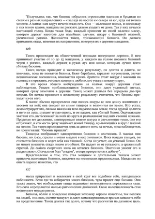 "Получилось так, что бизоны собрались огромными массами и бродили по
степям в разных направлениях — с запада на восток и с севера на юг, куда им только
хочется. А манда-нам вдруг нечего стало есть. Они — маленькое племя, и поскольку
у них много врагов, манданы не рискуют далеко уходить от дома. Так у них начался
настоящий голод. Когда такая беда, каждый приносит из своей палатки маску,
которую держат наготове для подобных случаев: шкуру с бизоньей головой,
увенчанной рогами. Начинается танец, призывающий бизонов. Он должен
приманить стада, изменив их направление, повернув их к деревне манданов.

      126

      Танец происходит на общественной площади посередине деревни. В нем
принимает участие от 10 до 15 манданов, у каждого на голове посажен бизоний
череп с рогами, каждый держит в руках лук или копье, которым лучше всего
убивать бизонов.
      Танец всегда приводит к желаемому результату, он длится и длится, не
кончаясь, пока не появятся бизоны. Бьют барабаны, тарахтят погремушки, звучат
нескончаемые песнопения, взвиваются крики. Зрители стоят вокруг с масками на
головах и с оружием, готовые заменить любого, кто устал и покинул круг.
      В это время общего возбуждения на холмах вокруг деревни стоят
наблюдатели. Увидев приближающихся бизонов, они дают условный сигнал,
который сразу замечают в деревне. Танец может длиться без перерыва две-три
недели. Он всегда приводит к желаемому результату: считается, что бизоны при-
ходят из-за него.
      К маске обычно прикреплена еще полоса шкуры во всю длину животного с
хвостом на ней; она свисает по спине танцора и волочится по земле. Кто устал,
демонстрирует это, сильно наклоняя тело параллельно земле, тогда другой целится
в него из лука, пускает тупую стрелу, и он падает, как убитый бизон. Окружающие
хватают его, вытаскивают за ноги из круга и размахивают над ним своими ножами.
Проделав все движения, имитирующие снятие шкуры и расчленение туши, они его
отпускают, и его место сразу занимает новый танцор, врывающийся в круг с маской
на голове. Так танец продолжается день за днем и ночь за ночью, пока наблюдатель
не просигналит: "бизоны пришли".
      Танцоры изображают одновременно бизонов и охотников. В масках они
бизоны, но луки, стрелы и копья выдают в них охотников. Пока мандан танцует, он
считается бизоном и ведет себя как таковой. Когда он устает, он усталый бизон. Он
не может покинуть стадо, иначе его убьют. Он падает не от усталости, а сраженный
стрелой. До самого смертного мига он остается бизоном. Охотники уносят его и
разделывают. Сначала он был "стадом", теперь превратился в добычу".
      Представление о том, что стая мощным и длительным танцем может
привлечь настоящих бизонов, зиждется на нескольких предпосылках. Манданам из
опыта хорошо известно, что

      127

      масса прирастает и вовлекает в свой круг все подобное себе, находящееся
поблизости. Если где-то собирается много бизонов, туда придет еще больше. Они
также знают, что возбуждение танца поднимает интенсивность переживания стаи.
Его сила определяется мощью ритмических движений. Свою малочисленность стая
восполняет мощью ритма.
      Бизоны, облик и поведение которых человеку хорошо известны, так похожи
на людей, они ведь охотно танцуют и дают замаскированным врагам заманить себя
на представление. Танец длится так долго, потому что рассчитан на дальнюю цель.
 