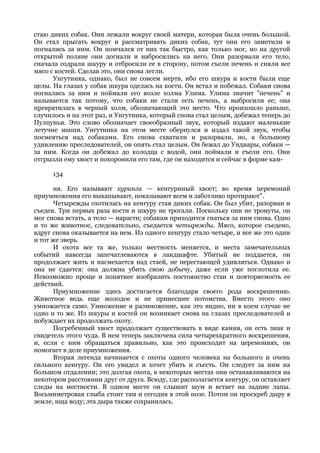 стаю диких собак. Они лежали вокруг своей матери, которая была очень большой.
Он стал прыгать вокруг и рассматривать диких собак, тут они его заметили и
погнались за ним. Он помчался от них так быстро, как только мог, но на другой
открытой поляне они догнали и набросились на него. Они разорвали его тело,
сначала содрали шкуру и отбросили ее в сторону, потом съели печень и сняли все
мясо с костей. Сделав это, они снова легли.
      Унгутника, однако, был не совсем мертв, ибо его шкура и кости были еще
целы. На глазах у собак шкура оделась на кости. Он встал и побежал. Собаки снова
погнались за ним и поймали его возле холма Улима. Улима значит "печень" и
называется так потому, что собаки не стали есть печень, а выбросили ее; она
превратилась в черный холм, обозначающий это место. Что произошло раньше,
случилось и на этот раз, и Унгутника, который снова стал целым, добежал теперь до
Пулпуньи. Это слово обозначает своеобразный звук, который издают маленькие
летучие мыши. Унгутника на этом месте обернулся и издал такой звук, чтобы
посмеяться над собаками. Его снова схватили и разорвали, но, к большому
удивлению преследователей, он опять стал целым. Он бежал до Ундиары, собаки —
за ним. Когда он добежал до колодца с водой, они поймали и съели его. Они
отгрызли ему хвост и похоронили его там, где он находится и сейчас в форме кам-

      134

      ня. Его называют хуринга — кенгуриный хвост; во время церемоний
приумножения его выкапывают, показывают всем и заботливо протирают".
      Четырежды охотилась на кенгуру стая диких собак. Он был убит, разорван и
съеден. Три первых раза кости и шкуру не трогали. Поскольку они не тронуты, он
мог снова встать, а тело — нарасти; собакам приходится гнаться за ним снова. Одно
и то же животное, следовательно, съедается четырежды. Мясо, которое съедено,
вдруг снова оказывается на нем. Из одного кенгуру стало четыре, и все же это один
и тот же зверь.
      И охота все та же, только местность меняется, и места замечательных
событий навсегда запечатлеваются в ландшафте. Убитый не поддается, он
продолжает жить и насмехается над стаей, не перестающей удивляться. Однако и
она не сдается: она должна убить свою добычу, даже если уже поглотила ее.
Невозможно проще и понятнее изобразить постоянство стаи и повторяемость ее
действий.
      Приумножение здесь достигается благодаря своего рода воскрешению.
Животное ведь еще молодое и не принесшее потомства. Вместо этого оно
умножается само. Умножение и размножение, как это видно, ни в коем случае не
одно и то же. Из шкуры и костей он возникает снова на глазах преследователей и
побуждает их продолжать охоту.
      Погребенный хвост продолжает существовать в виде камня, он есть знак и
свидетель этого чуда. В нем теперь заключена сила четырехкратного воскрешения,
и, если с ним обращаться правильно, как это происходит на церемониях, он
помогает в деле приумножения.
      Вторая легенда начинается с охоты одного человека на большого и очень
сильного кенгуру. Он его увидел и хочет убить и съесть. Он следует за ним на
большом отдалении; это долгая охота, в некоторых местах они останавливаются на
некотором расстоянии друг от друга. Всюду, где располагается кенгуру, он оставляет
следы на местности. В одном месте он слышит шум и встает на задние лапы.
Восьмиметровая глыба стоит там и сегодня в этой позе. Потом он проскреб дыру в
земле, ища воду; эта дыра также сохранилась.
 