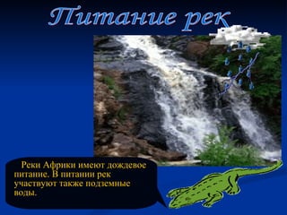 Питание рек Реки Африки имеют дождевое питание. В питании рек участвуют также подземные воды. 