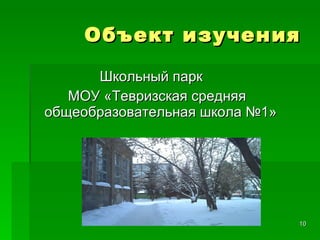 Объект изучения   Школьный парк МОУ «Тевризская средняя  общеобразовательная школа №1» 