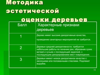 Методика эстетической   оценки деревьев Деревья имеют низкое декоративное качество с засохшими или поломанными стволами. Подлежит вырубке. 3 Деревья средней декоративности, требуются небольшие работы по лечению ран, обрезание сухих ветвей и сучьев с последующей заделкой, с последующим декорированием мест повреждения.  2 Дерево имеет высокие декоративные качества, проведение санитарных мероприятий не требуется.   1 Характерные признаки деревьев Балл 