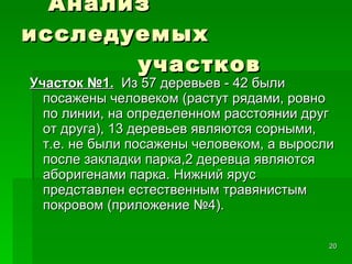   Анализ исследуемых   участков  Участок №1.   Из 57 деревьев - 42 были посажены человеком (растут рядами, ровно по линии, на определенном расстоянии друг от друга), 13 деревьев являются сорными, т.е. не были посажены человеком, а выросли после закладки парка,2 деревца являются аборигенами парка. Нижний ярус представлен естественным травянистым покровом (приложение №4). 