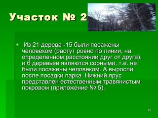 Участок № 2 Из 21 дерева -15 были посажены человеком (растут ровно по линии, на определенном расстоянии друг от друга), и 6 деревьев являются сорными, т.е. не были посажены человеком. А выросли после посадки парка. Нижний ярус представлен естественным травянистым покровом (приложение № 5).  