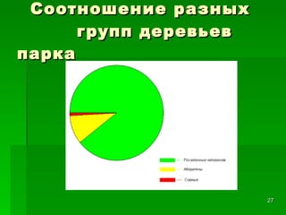 Соотношение разных   групп деревьев парка 