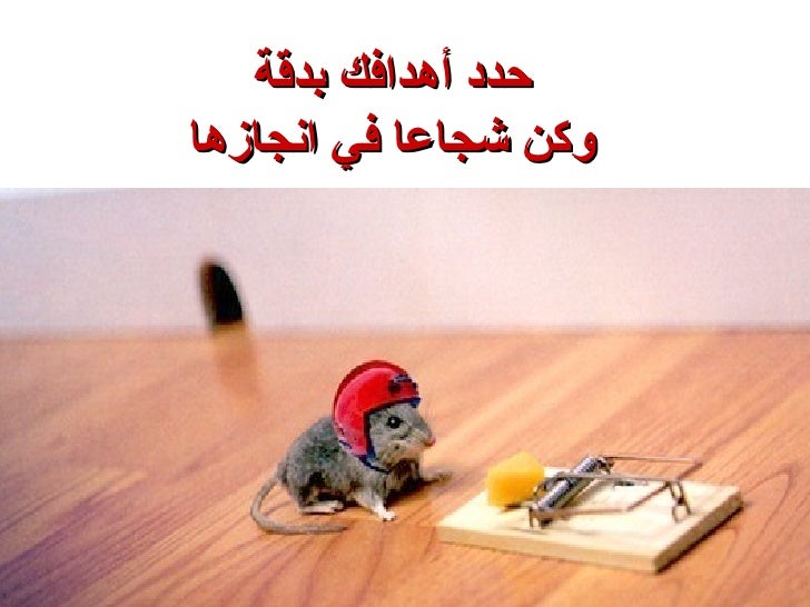 الإدارة : (المفهوم ـ المجالات) الإدارة : (المفهوم ـ المجالات)