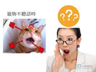 ﲻʱ