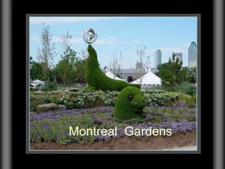 Montreal  Gardens 