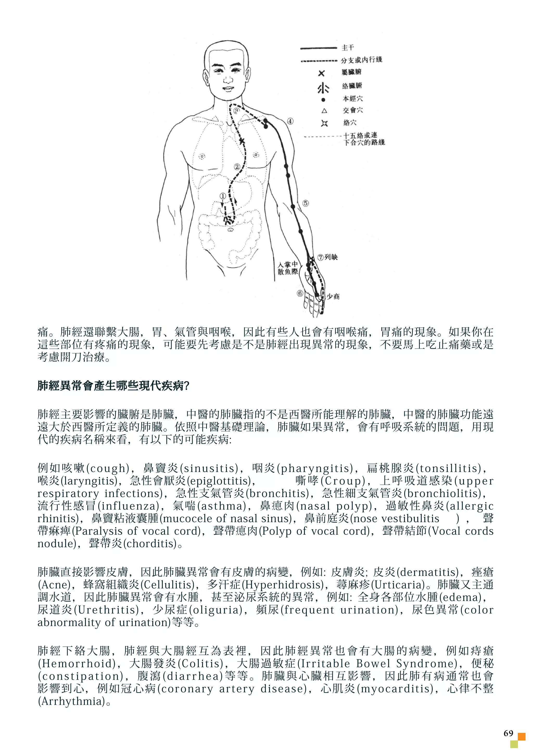 痛。肺經還聯繫大腸，胃、氣管與咽喉，因此有些人也會有咽喉痛，胃痛的現象。如果你在
這些部位有疼痛的現象，可能要先考慮是不是肺經出現異常的現象，不要馬上吃止痛藥或是
考慮開刀治療。

肺經異常會產生 哪 些現代疾病?

肺經主要影響的臟腑是肺臟，中醫的肺臟指的不是西醫所能理解的肺臟，中醫的肺臟功能遠
遠大於西醫所定義的肺臟。依照中醫基礎理論，肺臟如果異常，會有呼吸系統的問題，用現
代的疾病名稱來看，有以下的可能疾病:

例如咳嗽(cough)，鼻竇炎(sinusitis)，咽炎(pharyngitis)，扁桃腺炎(tonsillitis)，
喉炎(laryngitis)，急性會厭炎(epiglottitis)，       嘶哮(Croup)，上呼吸道感染(upper
respiratory infections)，急性支氣管炎(bronchitis)，急性細支氣管炎(bronchiolitis)，
流行性感冒(influenza)，氣喘(asthma)，鼻瘜肉(nasal polyp)，過敏性鼻炎(allergic
rhinitis)，鼻竇粘液囊腫(mucocele of nasal sinus)，鼻前庭炎(nose vestibulitis  ) ， 聲
帶痳痺(Paralysis of vocal cord)，聲帶 瘜 肉(Polyp of vocal cord)，聲帶結節(Vocal cords
nodule)，聲帶炎(chorditis)。

肺臟直接影響皮膚，因此肺臟異常會有皮膚的病變，例如: 皮膚炎; 皮炎(dermatitis)，痤瘡
(Acne)，蜂窩組織炎(Cellulitis)，多汗症(Hyperhidrosis)，蕁麻疹(Urticaria)。肺臟又主通
調水道，因此肺臟異常會有水腫，甚至泌尿系統的異常，例如: 全身各部位水腫(edema)，
尿道炎(Urethritis)，少尿症(oliguria)，頻尿(frequent urination)，尿色異常(color
abnormality of urination)等等。

肺經下絡大腸，肺經與大腸經互為表裡，因此肺經異常也會有大腸的病變，例如痔瘡
(Hemorrhoid)，大腸發炎(Colitis)，大腸過敏症(Irritable Bowel Syndrome)，便秘
(constipation)，腹瀉(diarrhea)等等。肺臟與心臟相互影響，因此肺有病通常也會
影響到心，例如冠心病(coronary artery disease)，心肌炎(myocarditis)，心律不整
(Arrhythmia)。

                                                                            
 