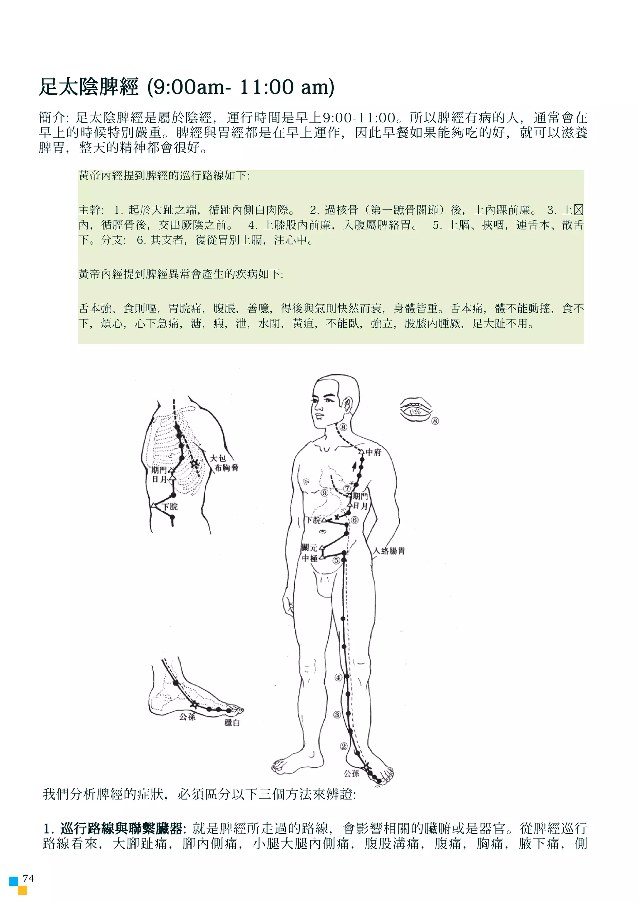足太陰脾經 (9:00am- 11:00 am)
     簡介: 足太陰脾經是屬於陰經，運行時間是早上9:00-11:00。所以脾經有病的人，通常會在
     早上的時候特別嚴重。脾經與胃經都是在早上運作，因此早餐如果能 夠 吃的好，就可以滋養
     脾胃，整天的精神都會很好。

        黃帝內經提到脾經的巡行路線如下:


        主幹: 1. 起於大趾之端，循趾內側白肉際。 2. 過核骨（第一蹠骨關節）後，上內踝前廉。 3. 上﹐
        內，循脛骨後，交出厥陰之前。 4. 上膝股內前廉，入腹屬脾絡胃。 5. 上膈、挾咽，連舌本、散舌
        下。分支: 6. 其支者，復從胃別上膈，注心中。


        黃帝內經提到脾經異常會產生的疾病如下:


        舌本強、食則嘔，胃脘痛，腹脹，善噫，得後與氣則快然而衰，身體皆重。舌本痛，體不能動搖，食不
        下，煩心，心下急痛，溏，瘕，泄，水閉，黃疸，不能臥，強立，股膝內腫厥，足大趾不用。




     我們分析脾經的症狀，必須區分以下三個方法來辨證:

     1. 巡行路線與聯繫臟器: 就是脾經所走過的路線，會影響相關的臟腑或是器官。從脾經巡行
     路線看來，大腳趾痛，腳內側痛，小腿大腿內側痛，腹股溝痛，腹痛，胸痛，腋下痛，側

74
 