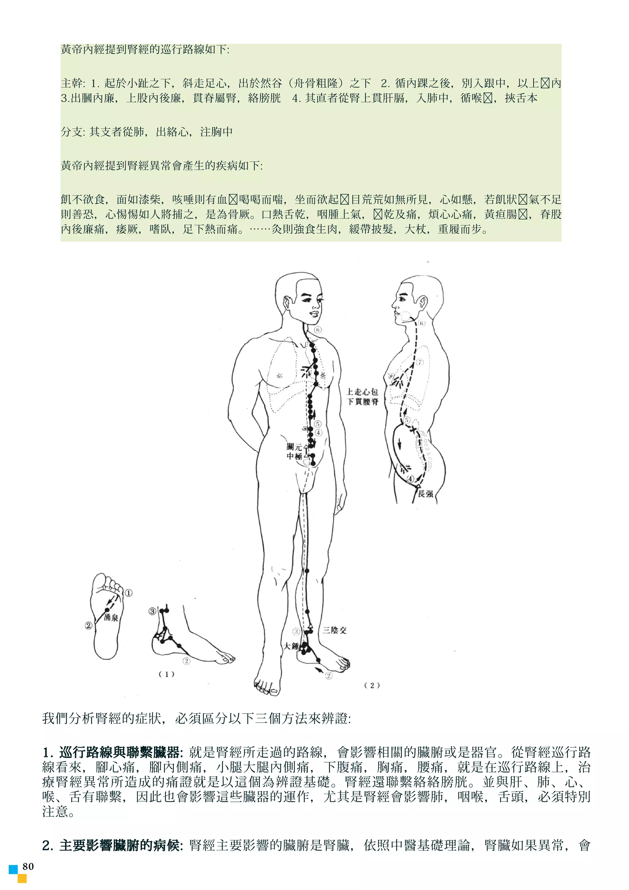 黃帝內經提到腎經的巡行路線如下:


      主幹: 1. 起於小趾之下，斜走足心，出於然谷（舟骨粗隆）之下 2. 循內踝之後，別入跟中，以上﹐內
      3.出膕內廉，上股內後廉，貫脊屬腎，絡膀胱 4. 其直者從腎上貫肝膈，入肺中，循喉﹐，挾舌本


      分支: 其支者從肺，出絡心，注胸中


      黃帝內經提到腎經異常會產生的疾病如下:


      飢不欲食，面如漆柴，咳唾則有血﹐喝喝而喘，坐而欲起﹐目荒荒如無所見，心如懸，若飢狀﹐氣不足
      則善恐，心惕惕如人將捕之，是為骨厥。口熱舌乾，咽腫上氣，﹐乾及痛，煩心心痛，黃疸腸﹐，脊股
      內後廉痛，痿厥，嗜臥，足下熱而痛。……灸則強食生肉，緩帶披髮，大杖，重履而步。




     我們分析腎經的症狀，必須區分以下三個方法來辨證:

     1. 巡行路線與聯繫臟器: 就是腎經所走過的路線，會影響相關的臟腑或是器官。從腎經巡行路
     線看來，腳心痛，腳內側痛，小腿大腿內側痛，下腹痛，胸痛，腰痛，就是在巡行路線上，治
     療腎經異常所造成的痛證就是以這個為辨證基礎。腎經還聯繫絡絡膀胱。並與肝、肺、心、
     喉、舌有聯繫，因此也會影響這些臟器的運作，尤其是腎經會影響肺，咽喉，舌頭，必須特別
     注意。

     2. 主要影響臟腑的病候: 腎經主要影響的臟腑是腎臟，依照中醫基礎理論，腎臟如果異常，會
0
 