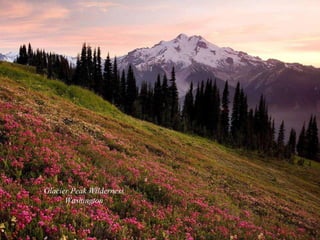 Glacier Peak Wilderness Washington 