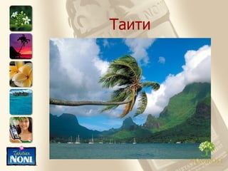 Таити 